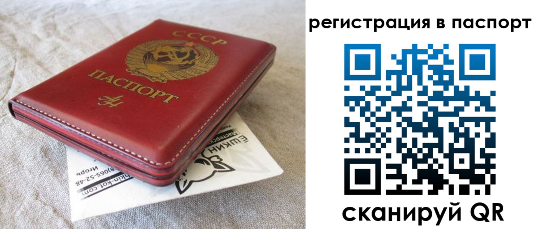 где прописаться в Богородицке